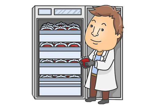 bloodbank booking app